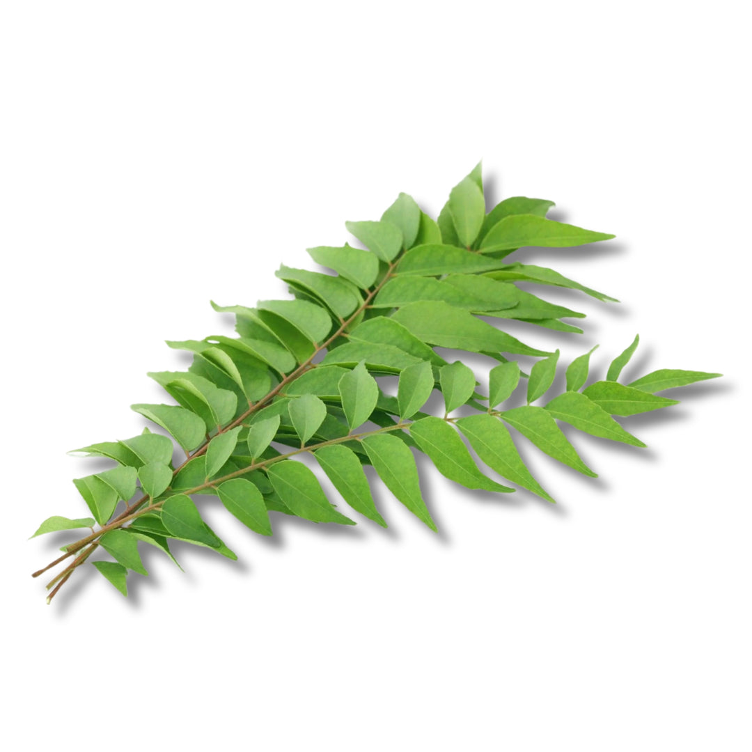 Curry Leaves Fresh