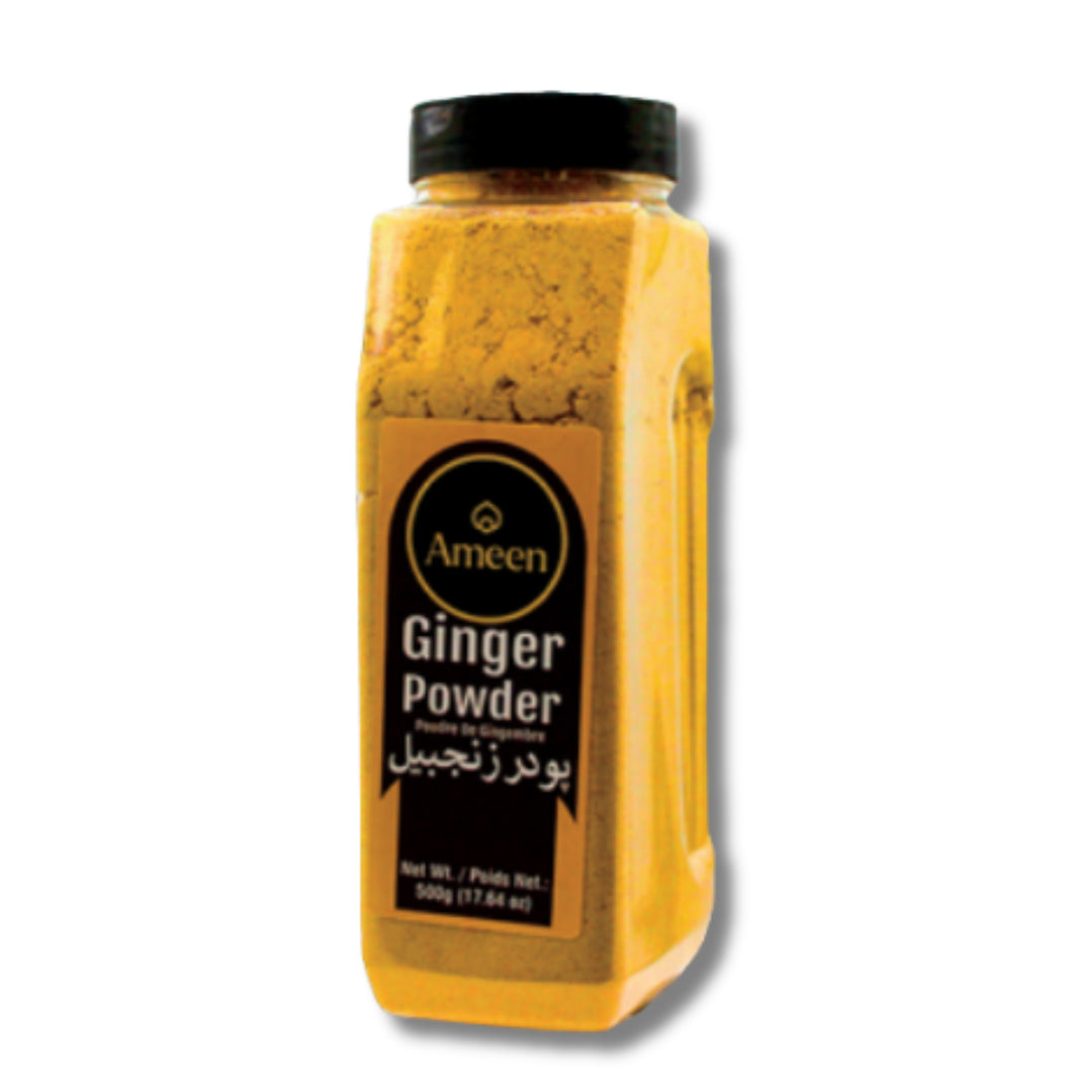 Ameen Ginger Powder Jar 500G