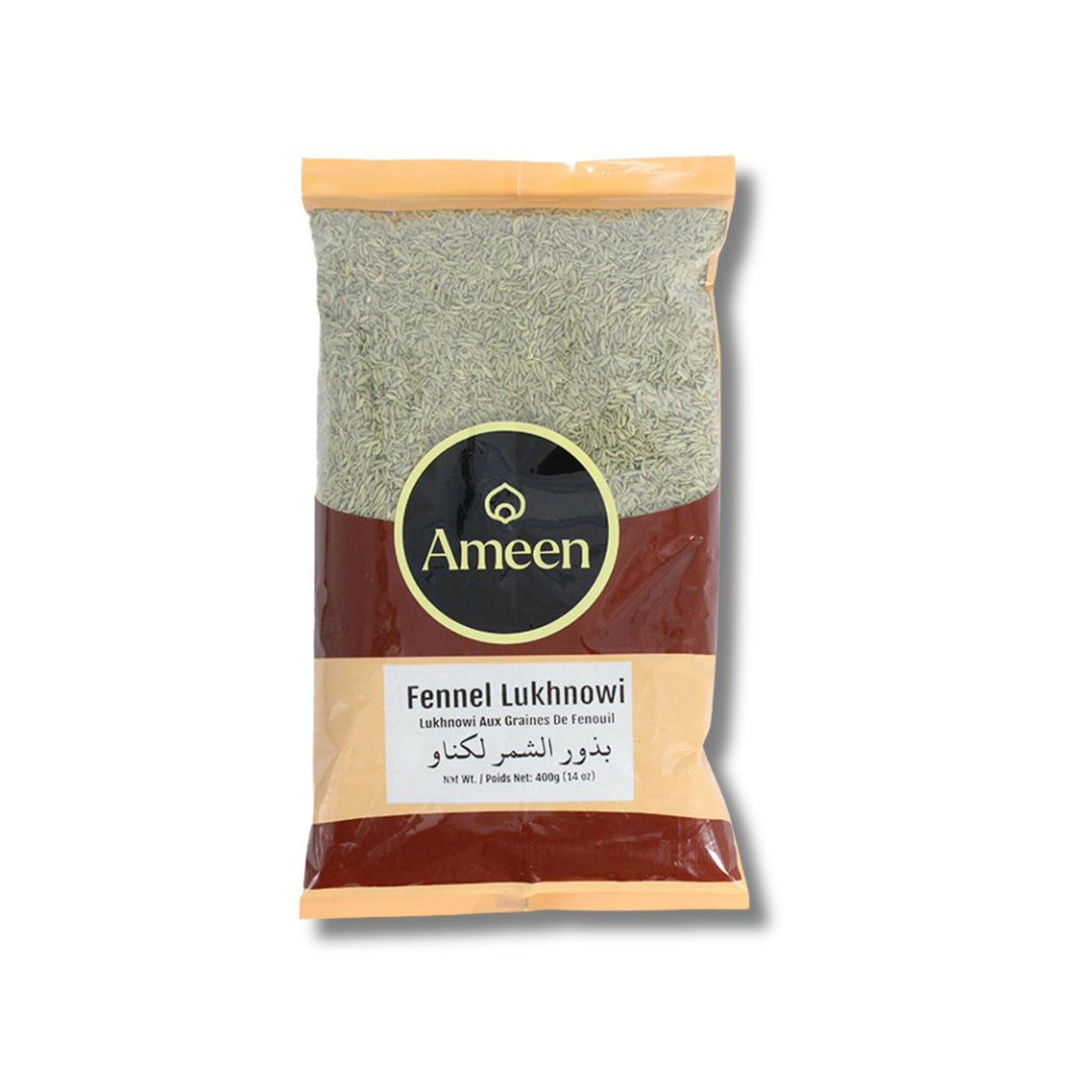 Ameen Fennel Lukhnowi 400G