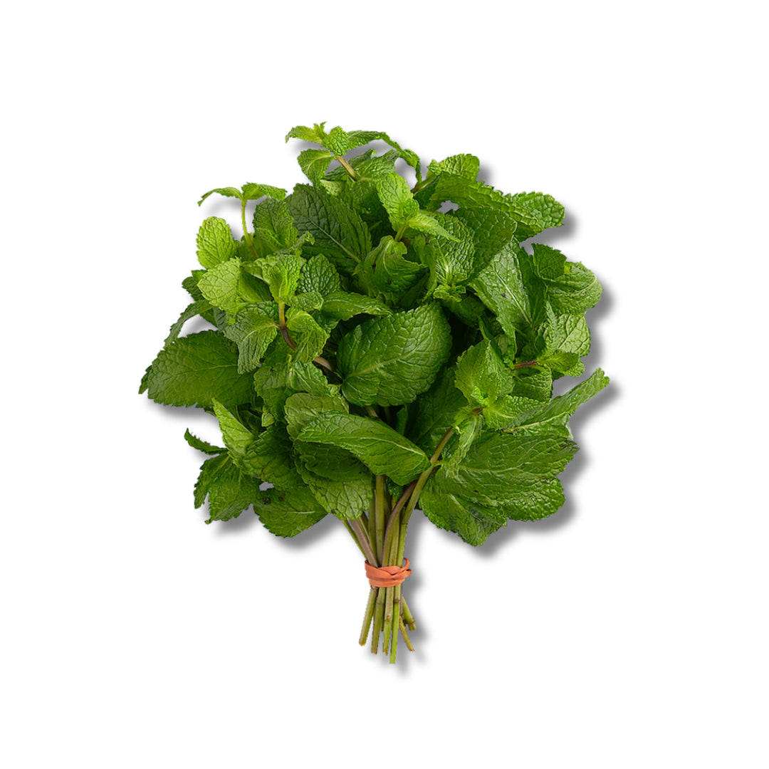 Mint Fresh