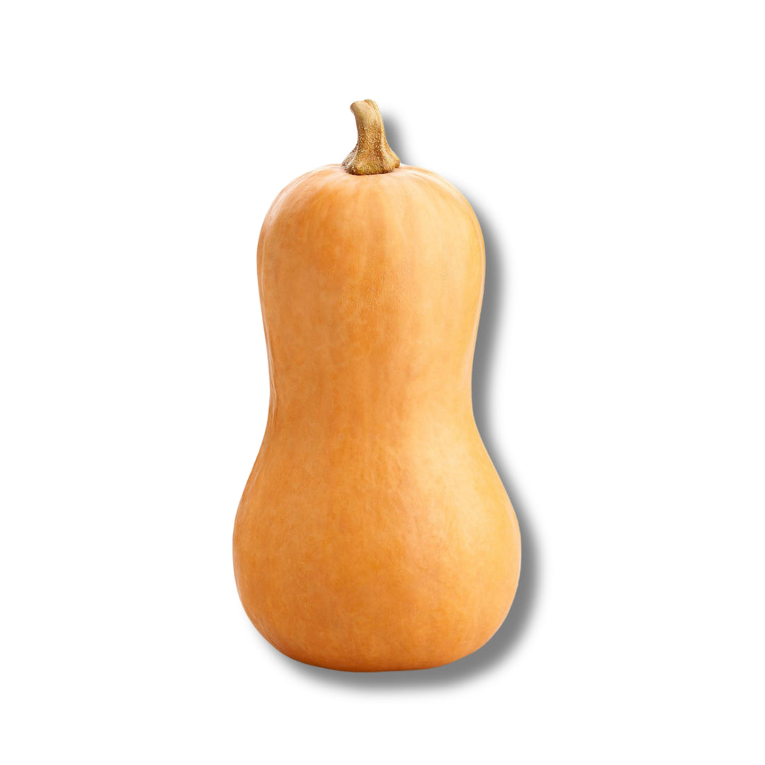 Butternut Squash