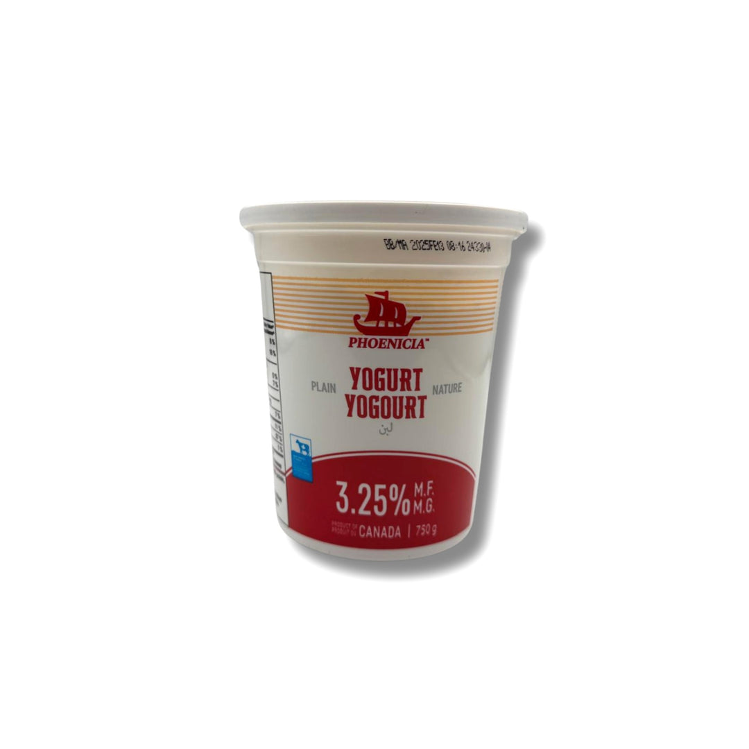 Phoenicia Plain Yogurt 3.25%