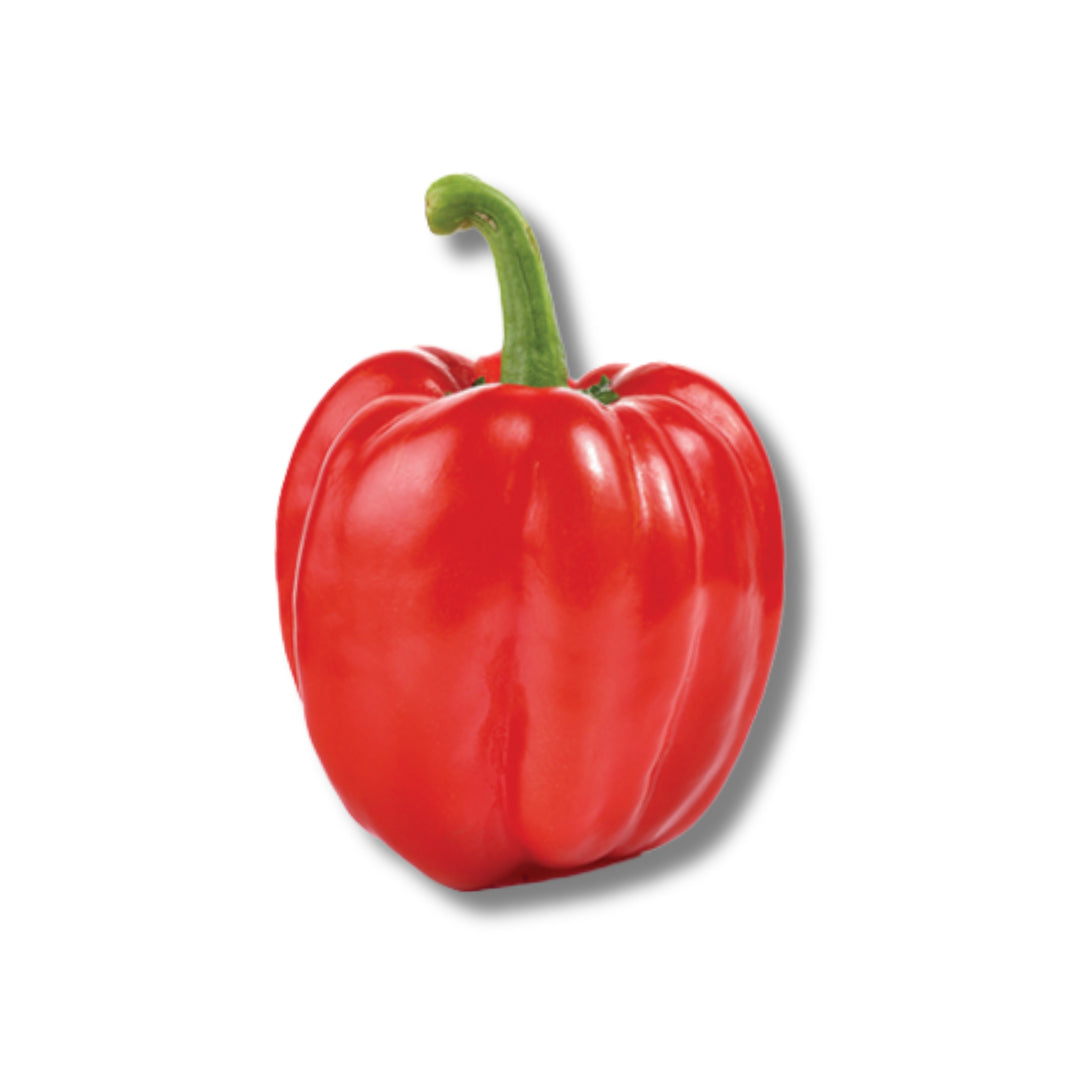 Red Bell Pepper