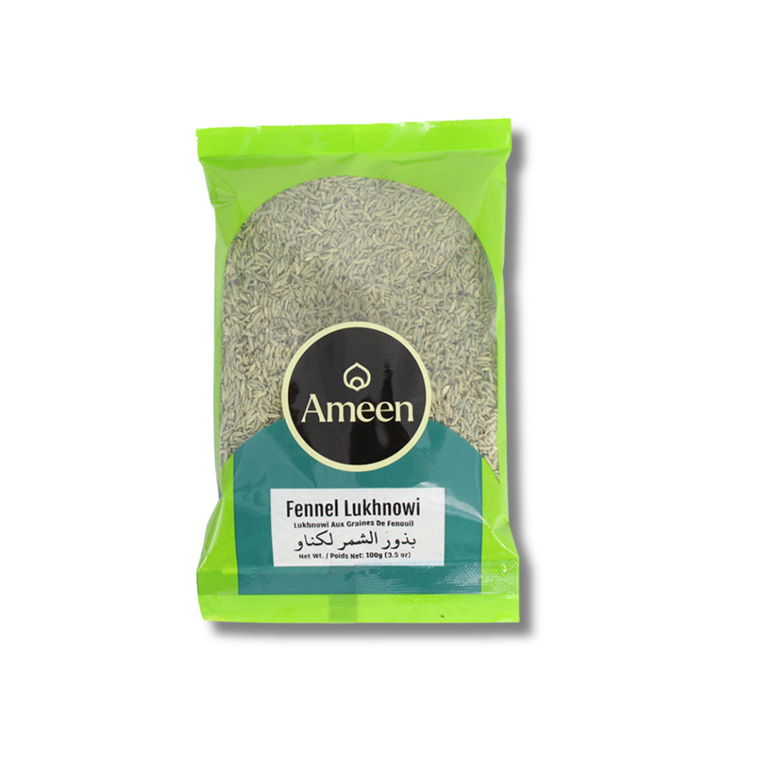 Ameen Fennel Lukhnowi 100G