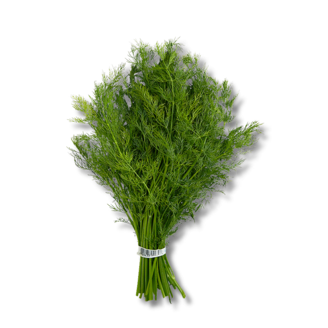 Dill Weed Fresh