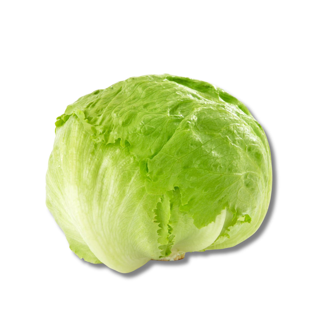 Iceberg Lettuce