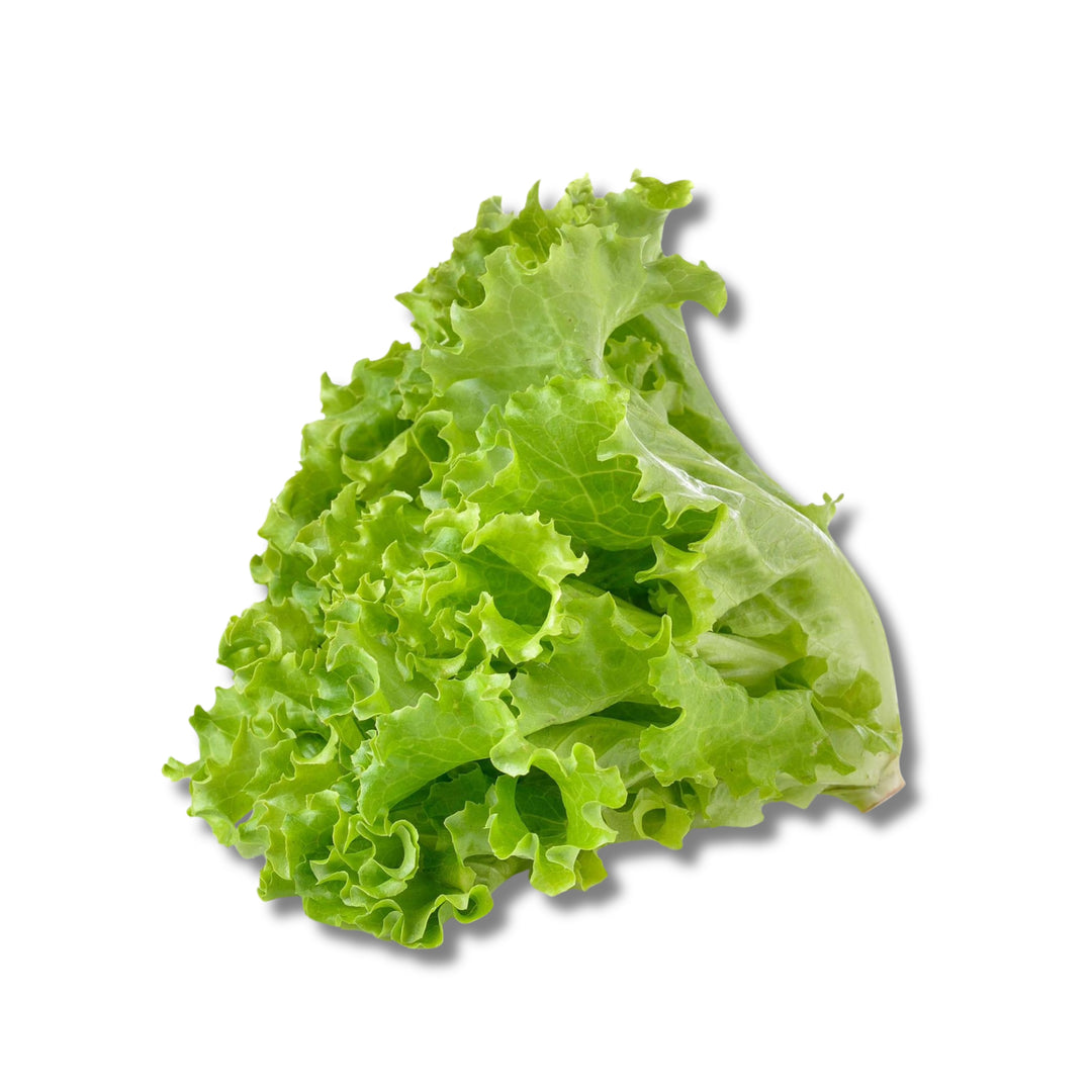 Green Leaves Lettuce