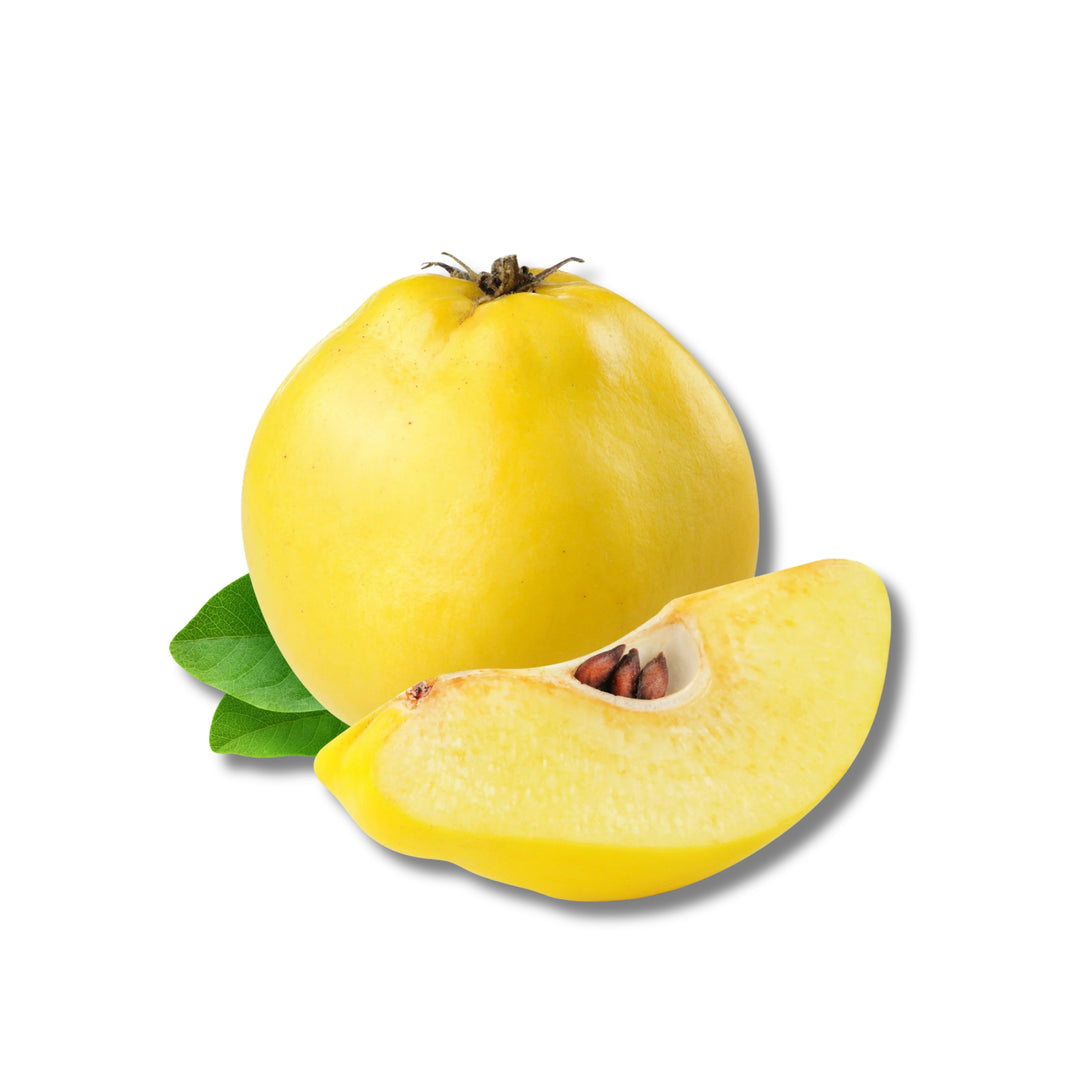 Quince Fresh