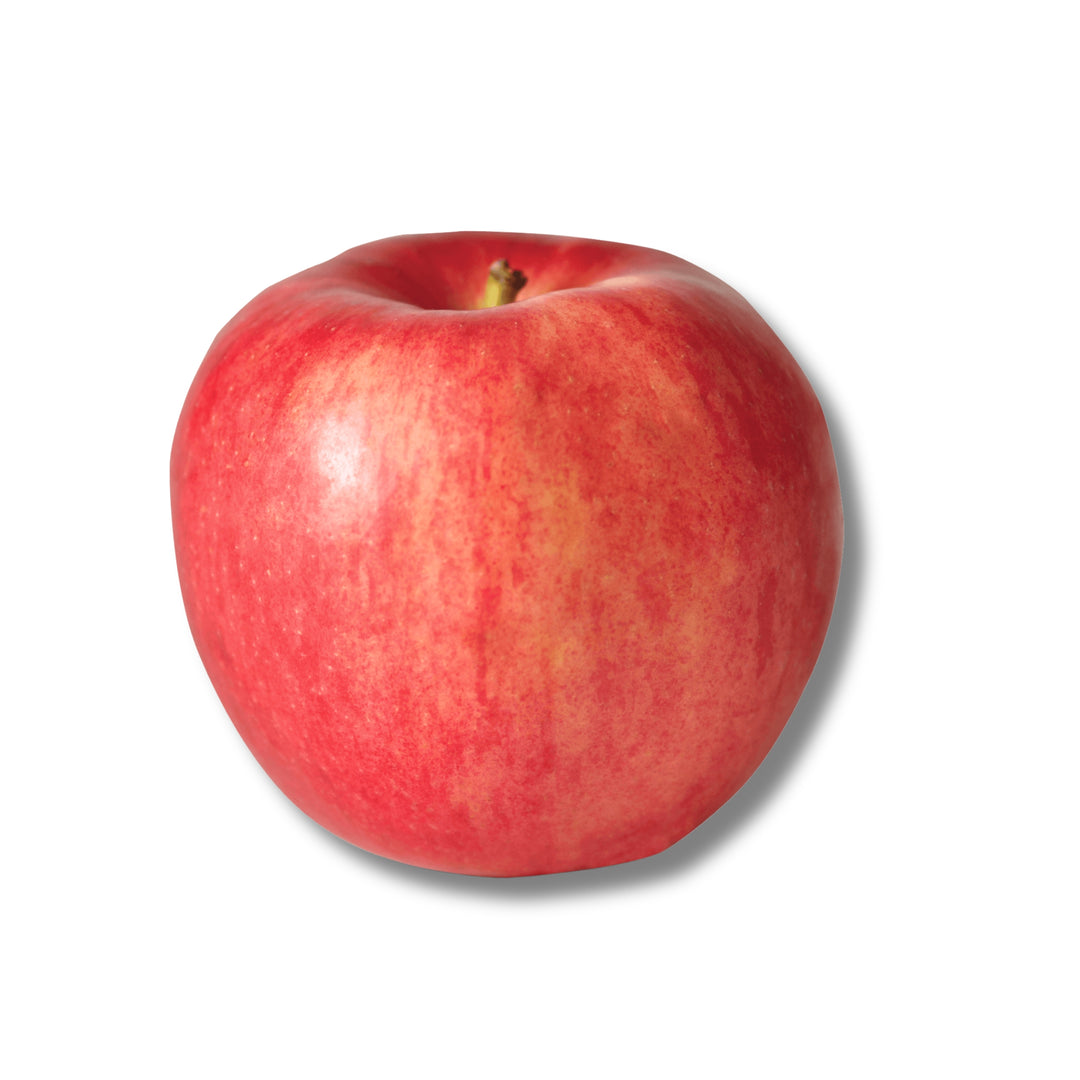 Apple Autumn