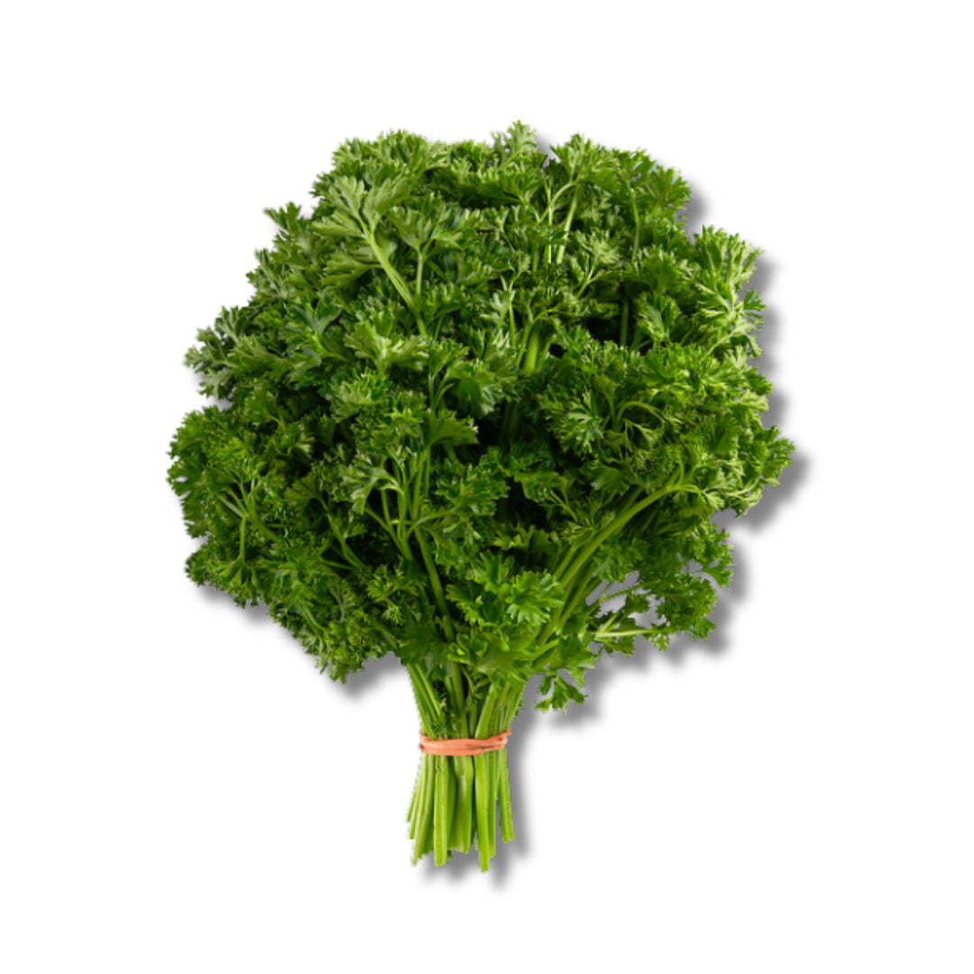 Parsley Curly Bunch