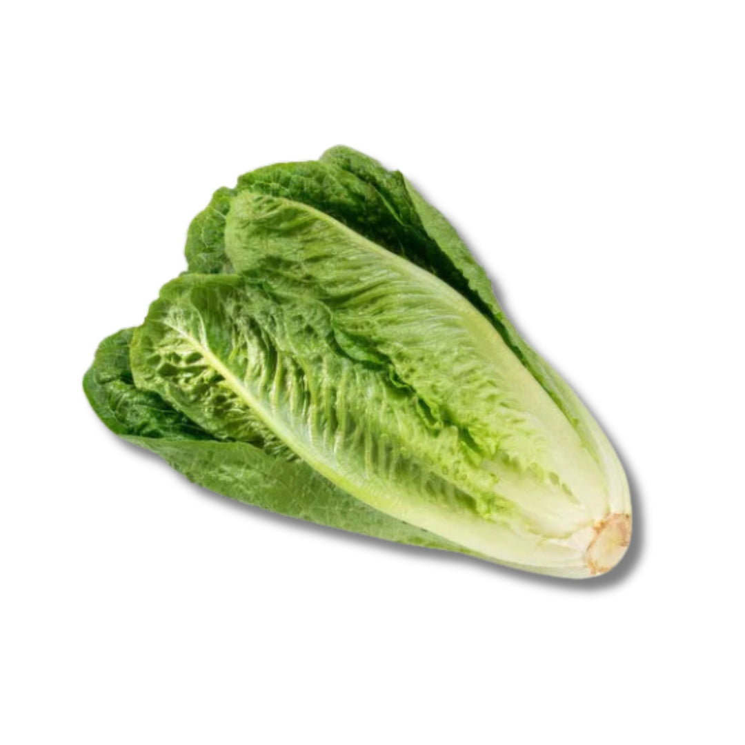 Lettuce Romaine