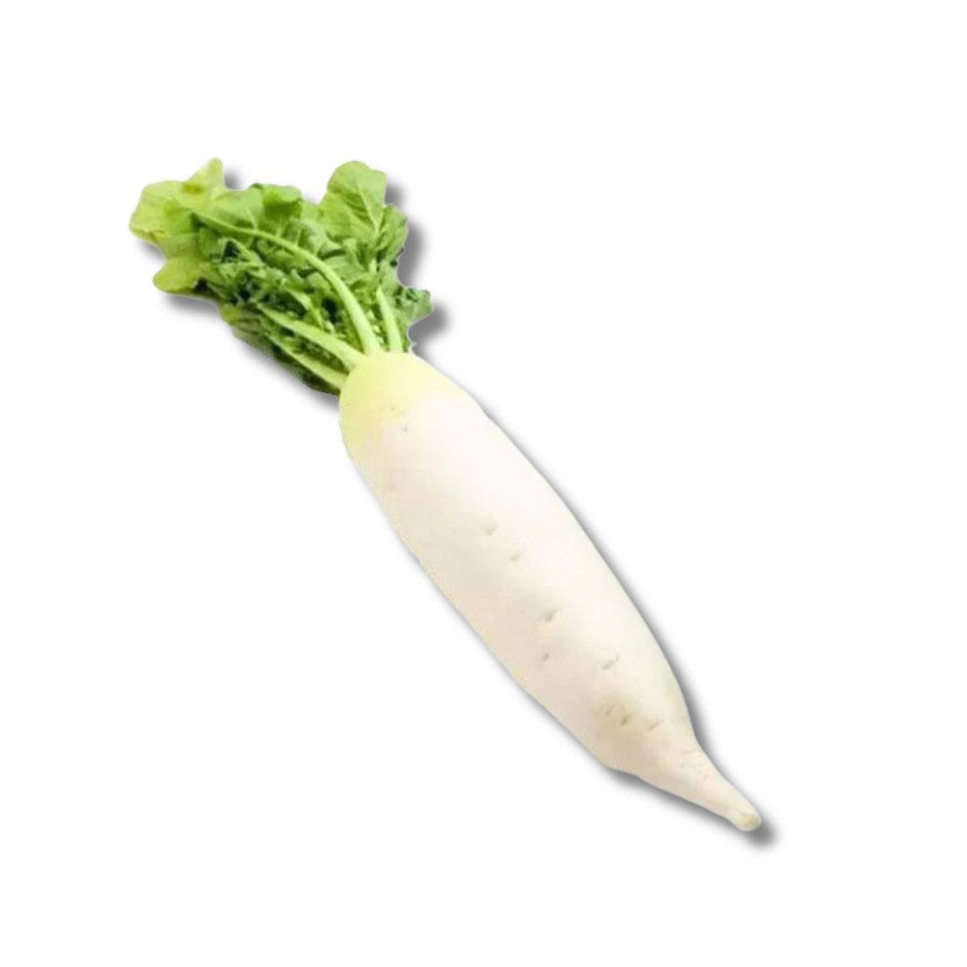 Daikon (Muli)
