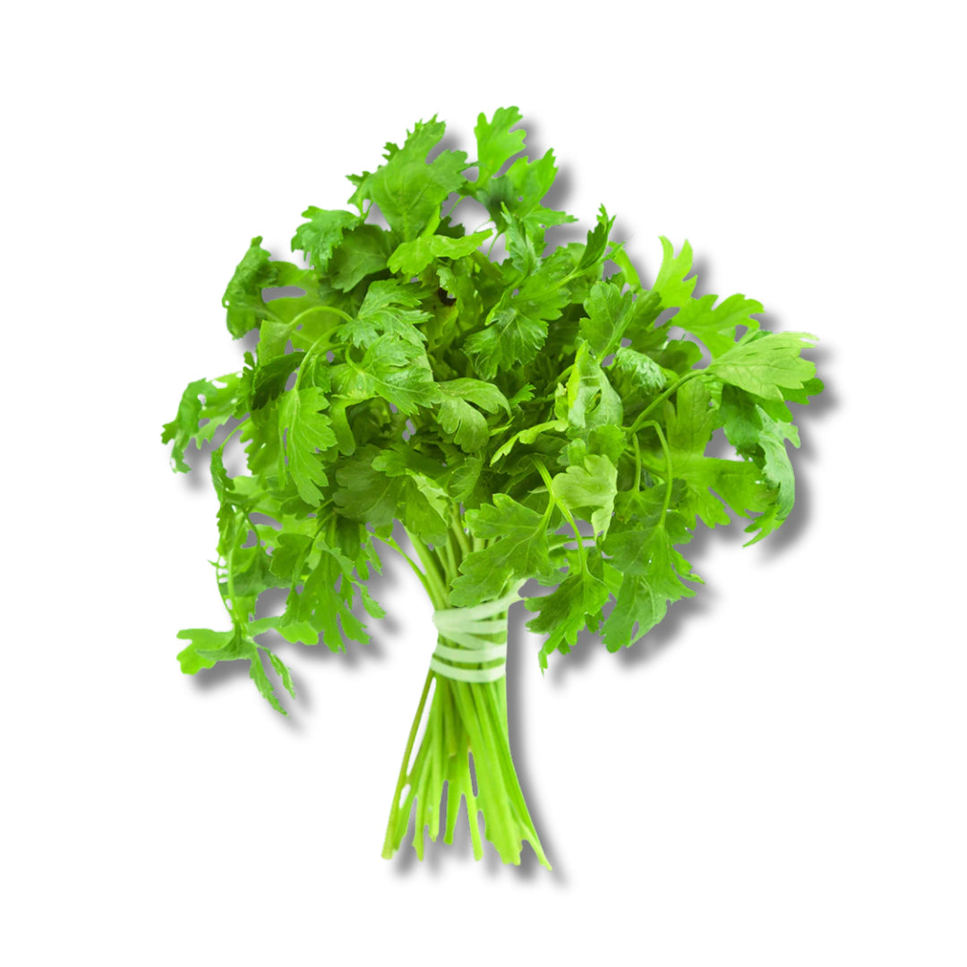 Parsley Italian Bunch