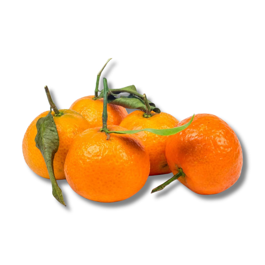 Clementine with Leaves