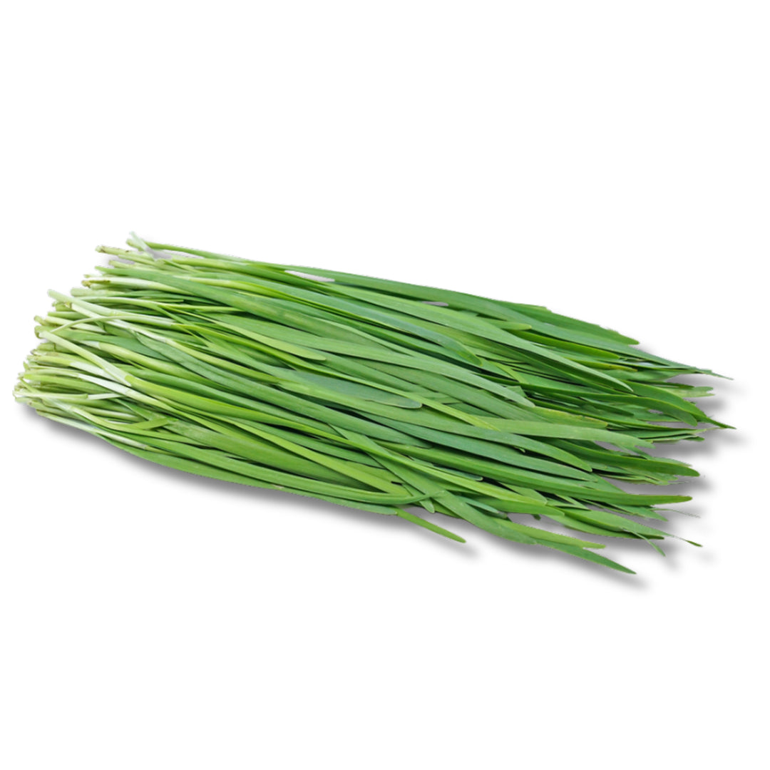Chives (Gandana)