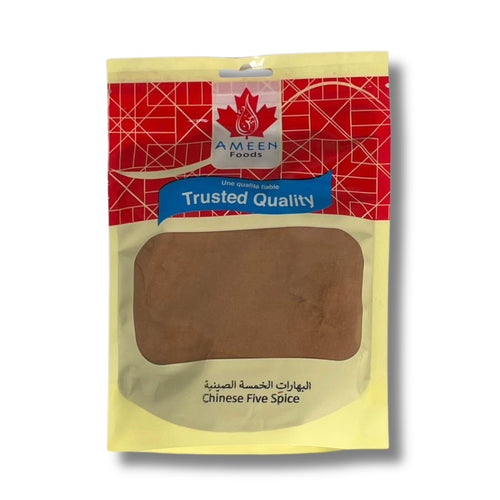 Ameen Five Spice 100G
